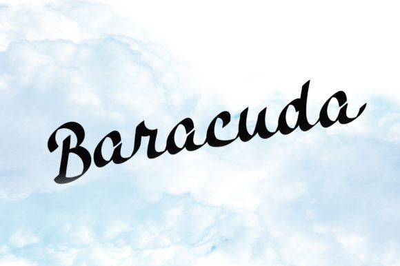 Baracuda Font: Bold & Beautiful