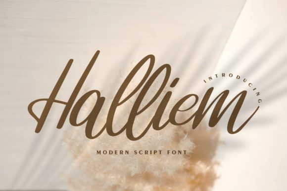 Discover the Beauty of Halliem