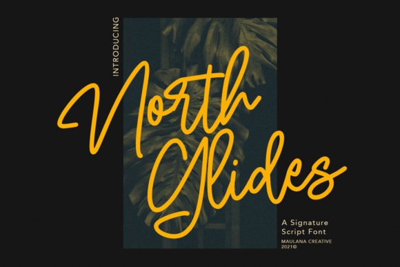 North Glides Font for Web Design