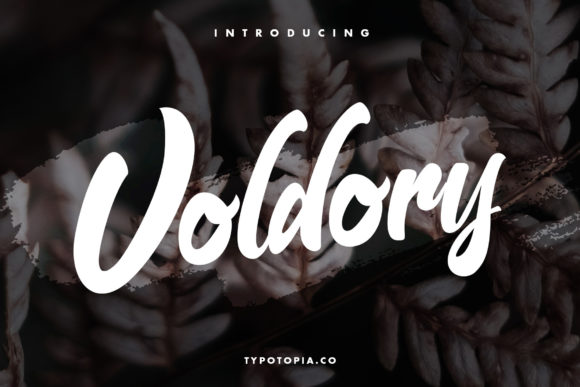 Voldory: A Script Font for Web Design